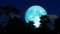 Super beaver blue moon rise back dark cloud and silhouette palm tree on night sky time lapse