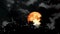 Super blood cold moon rise back silhouette coconut tree with dark cloud on night sky time lapse