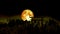 Super blood harvest moon moving pass back torii wood top pine cloud dark night sky