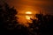 Super Blood Moon rising above Toronto, Ontario, Canada.