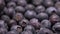 Super close-up of delicious large blueberries