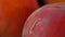 Super close up of the red peach surface with a drop of water