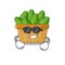 Super cool avocado fruit basket mascot character wearing black glasses