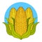 Super Corn Crop-vector Logo Template. Organic Grain Sign. Icons Of Ecology. Biosimilar. A Badge Of Distinction For Agriculture And