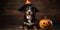 super cute beagle with a witches hat halloween background