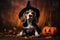 super cute beagle with a witches hat halloween background. AI Generated