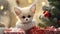 Super cute fennec fox with Christmas gift box.