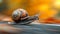 Super fast turbo snail. Successful fast moving snail. Amazing power concept and business skill services success or