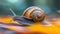 Super fast turbo snail. Successful fast moving snail. Amazing power concept and business skill services success or