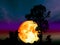 super full blood moon back middle silhouette tree colorful sky