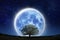 Super full moon above silhouette tree at the night on mountain forest. Lone moon and tree show live alone, Halloween and save