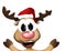 Super Happy Christmas Reindeer
