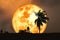 Super harvest blood moon and silhouette coconut tree in the field and night sky
