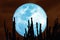 Super harvest moon and silhouette cactus tree in the desert on night sky