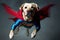 super hero labrador retriever dog with red cape and mask flying.