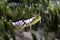 Super Klipfish hiding between sea grass