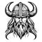 Super lovely viking emblem logo vector art
