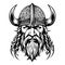 Super lovely viking emblem vector logo art