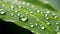 Super macro shot stunning natures artistry vibrant green leaf with glistening raindrops