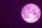 super milk moon back on silhouette bird on electric pole night sky