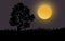 Super moon and the lonely tree