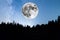 Super Moon pine trees silhouette Milky Way