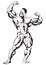 Super muscular bodybuilder pose biceps front view