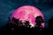 super pink moon back silhouette palm in dark night cloud
