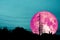 super pink moon floats in the sky above the shadow of an electric pole