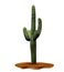 Super Realistic desert cactus Carnegia giant. Plant of desert among textured gradient sand. Realistic 3d volume