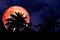 super red blood moon back silhouette in the ancient palm night s