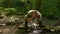 Super slow-mo. Man in khaki uniform washing his face from a forest stream with water