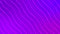 Super smooth slow-motion animated wavy lines background of purple/violet color.