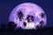 super sturgeon moon on the night sky back silhouette coconut trees