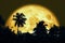 Super sturgeon moon and silhouette coconut tree in the dark night sky