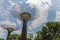 Super trees reach skyward in the Gardens by the Bay in Singapore, Asia