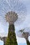 Super Trees, Singapore