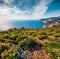 Superb spring view of high cliffs on the Ionian Sea.