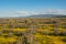 Superbloom at Soda Lake. Carrizo Plain National Monument is covered in swaths of yellow, orange and purple from a super bloom of