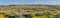 Superbloom at Soda Lake, pano. Carrizo Plain National Monument is covered in swaths of yellow, orange and purple from a super