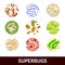 Superbugs Realistic Set