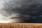 Supercell storm over a wheat field