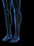 The Superficial Peroneal Nerve