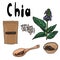 Superfood Chia set, seeds in a spoon, in a bowl, in a package, flowering plant Salvia hispanica, healthy popular food with