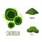 Superfood chlorella set in flat style.