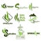 Superfood or detox nutrition, spirulina algae isolated icons