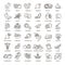 Superfoods line vector icons. Health and diet