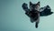 Superhero black kitten with a black cloak and mask jumping and flying on light blue background with copy space. The