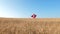 Superhero girl running across field with wheat against blue sky and smiling