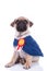 Superhero pug is being number one